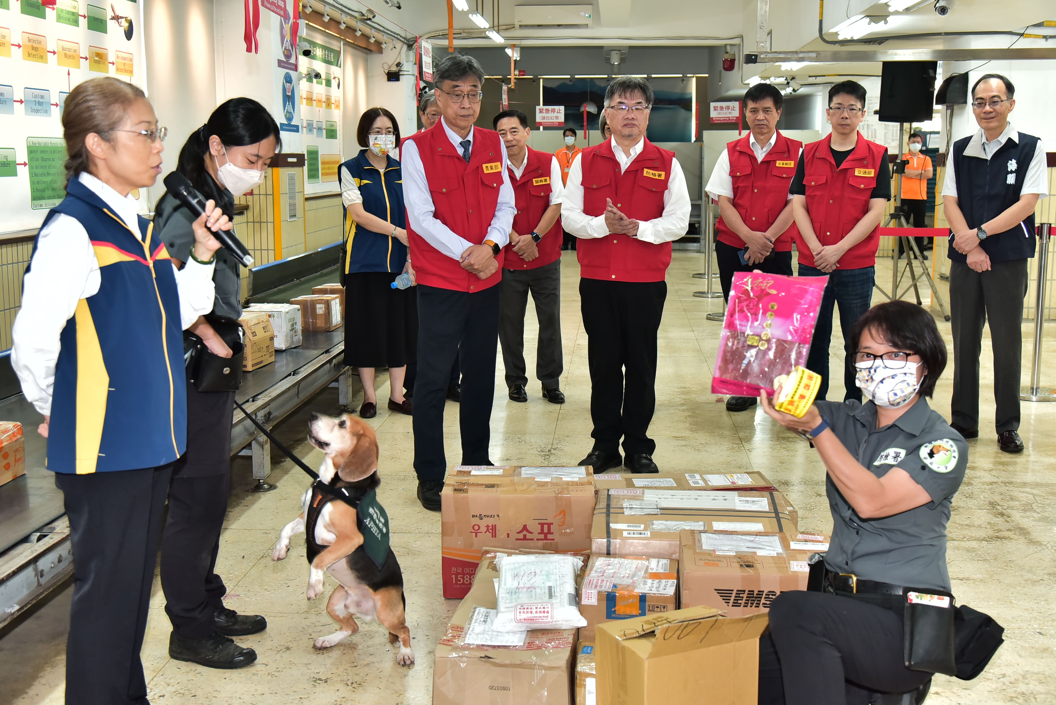 農業部陳駿季代理部長視察臺北郵件處理中心視察國際郵包進口查驗業務