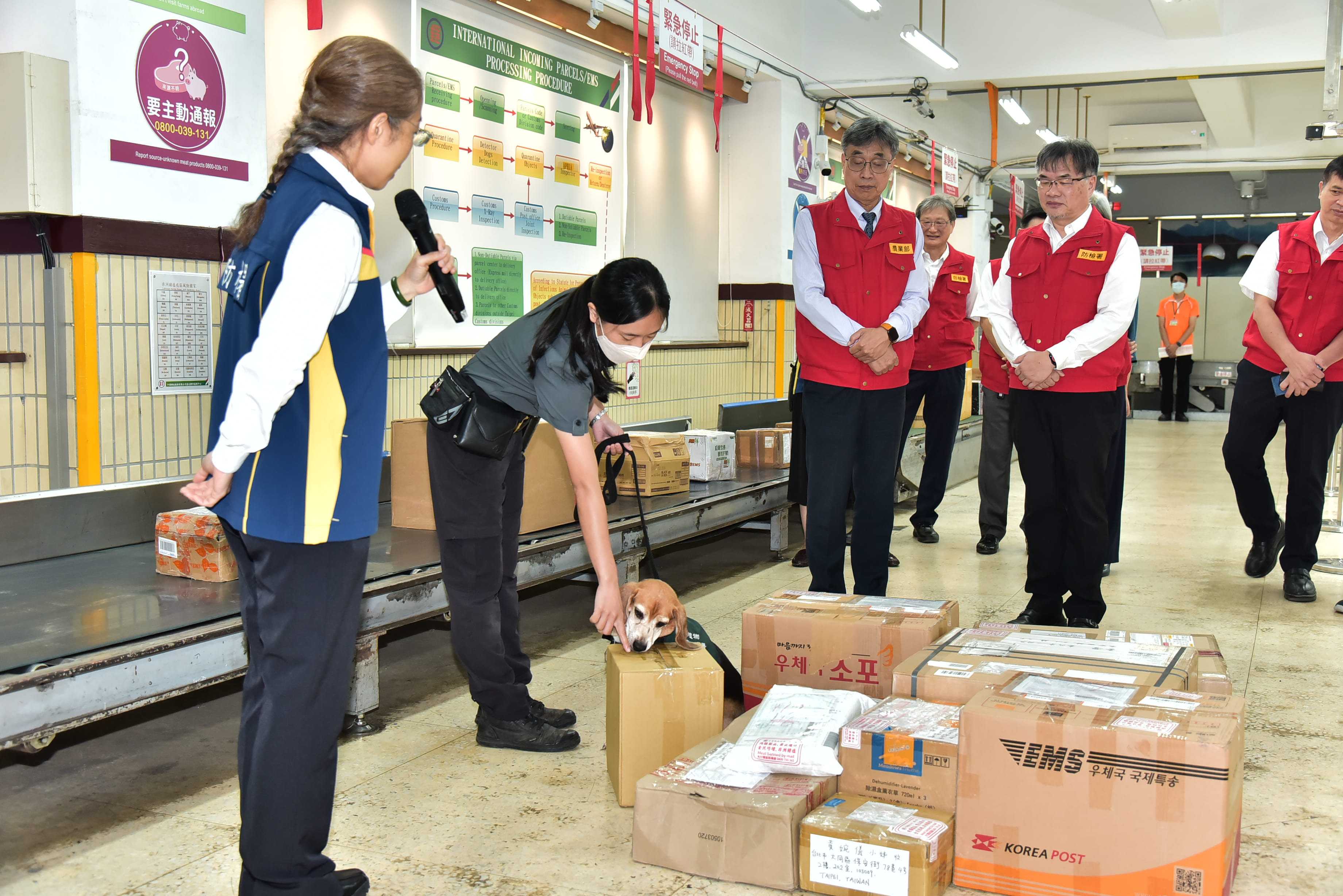農業部陳駿季代理部長視察臺北郵件處理中心視察國際郵包進口查驗業務