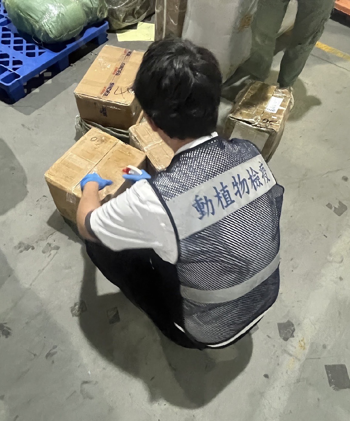 關務署基隆關與防檢署基隆分署於邊境攔截疑似禽流感疫苗